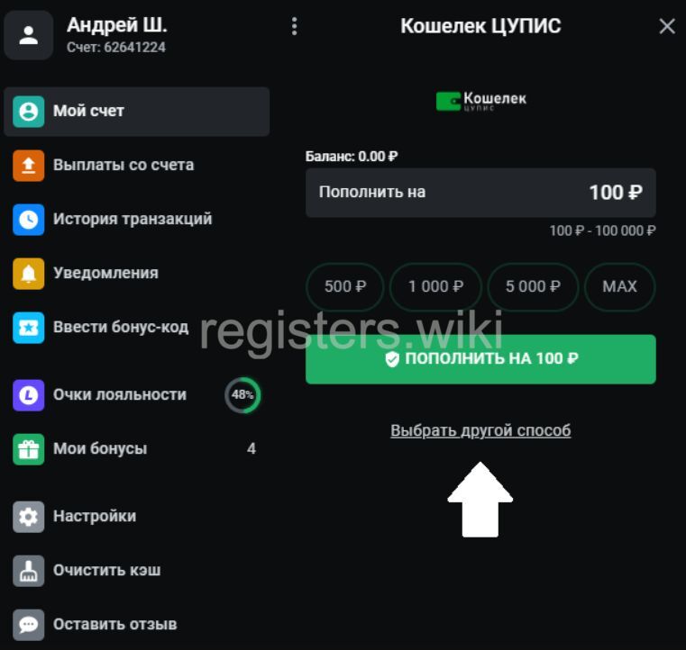 Пополнение через кошелек ЦУПИС Леон